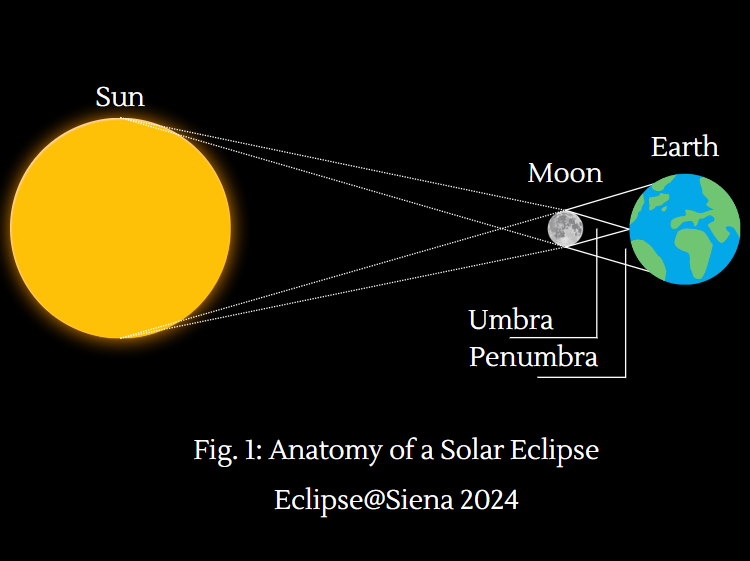 A diagram showing the phases of a solar eclipse.